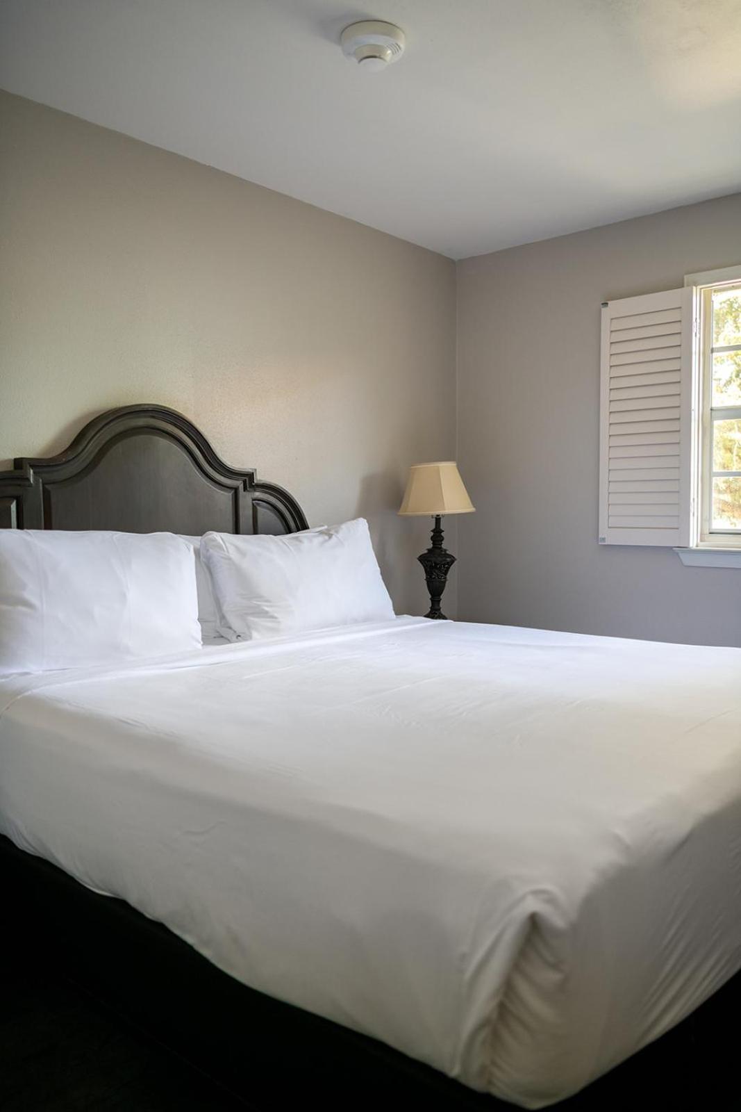 French Quarter Suites Hotel Новый Орлеан Экстерьер фото